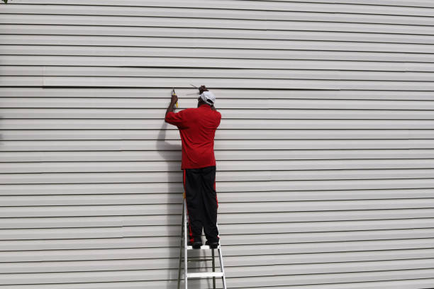 Professional Siding Services in Dunlap, IL